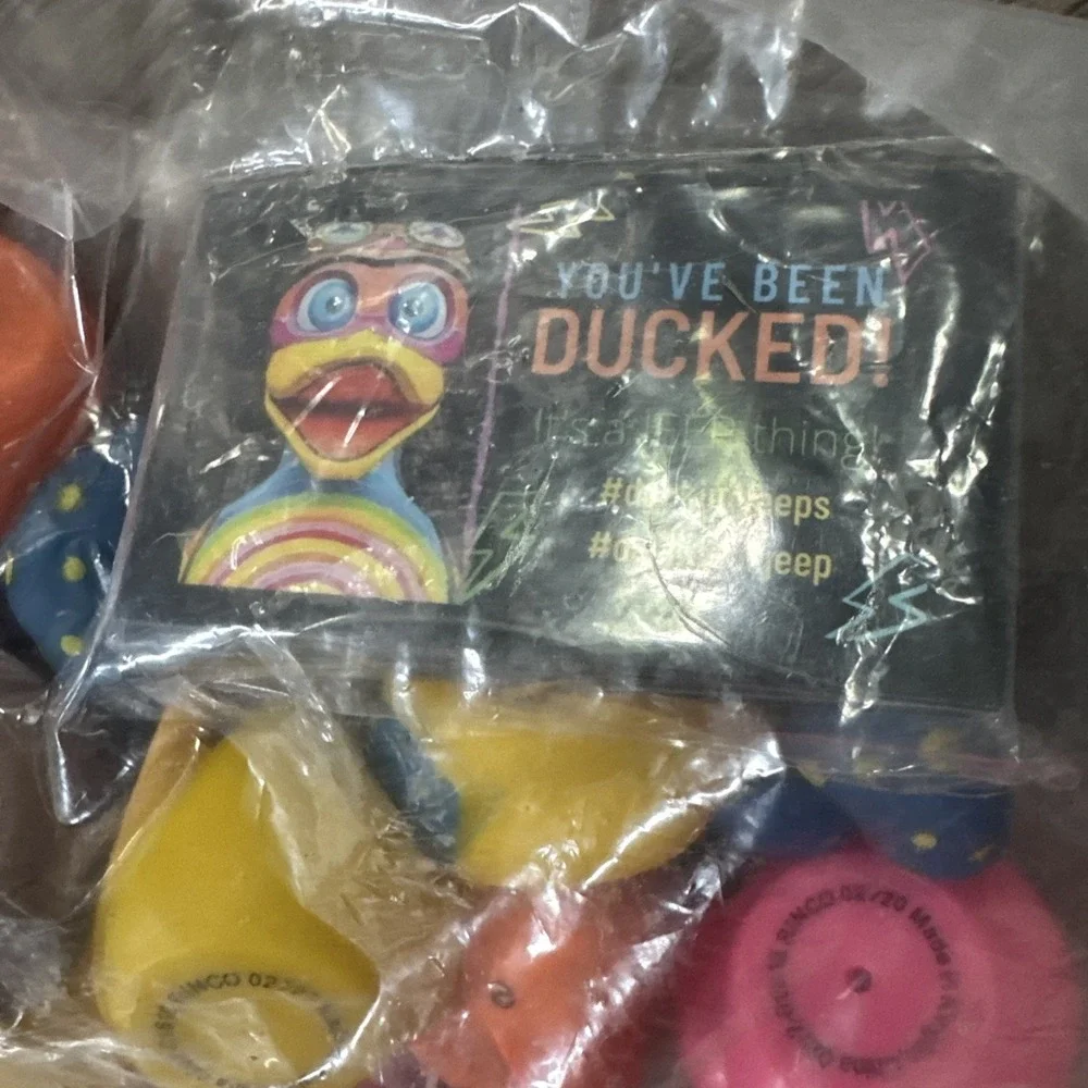 Bulk Assorted Duckies (50ct.) - Jeep's, Bath time… New